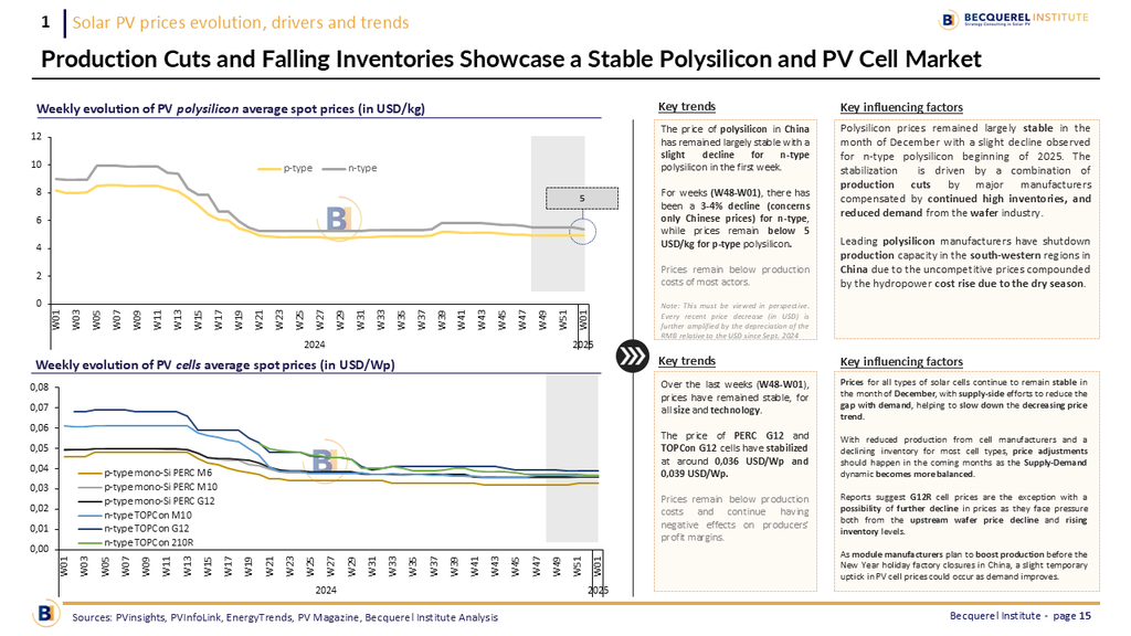 Solar PV Monthly Brief