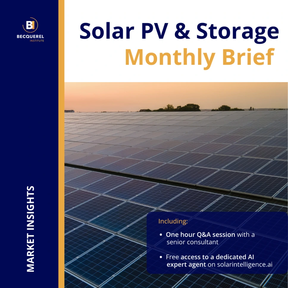 Solar PV & Storage Monthly Brief (One month)