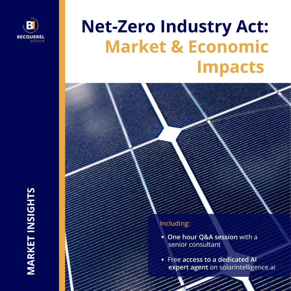 Net-Zero Industry Act: Market & Economic Impacts (One edition)