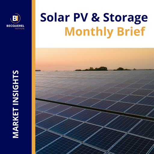 Solar PV & Storage Monthly Brief