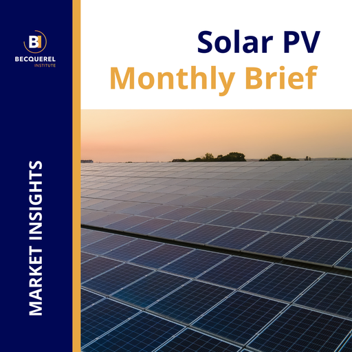 Solar PV Monthly Brief